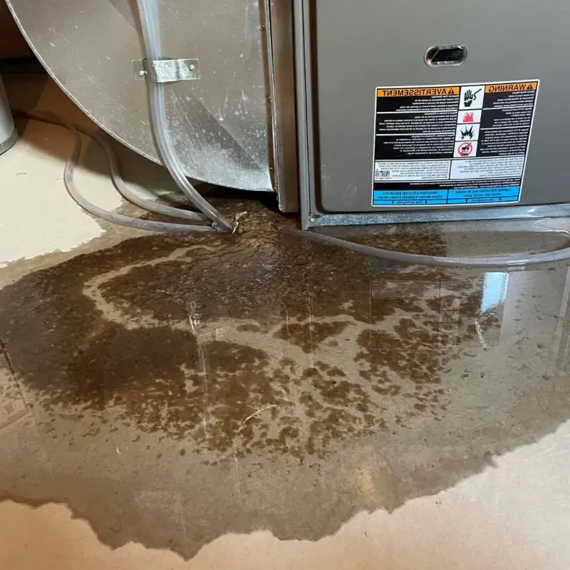 Pipe Burst and Leak Restoration in Westminster, MA